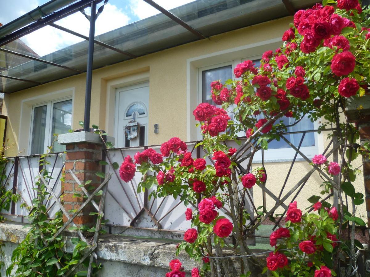 Ferienhaus 1 Elbingerode  Exteriér fotografie
